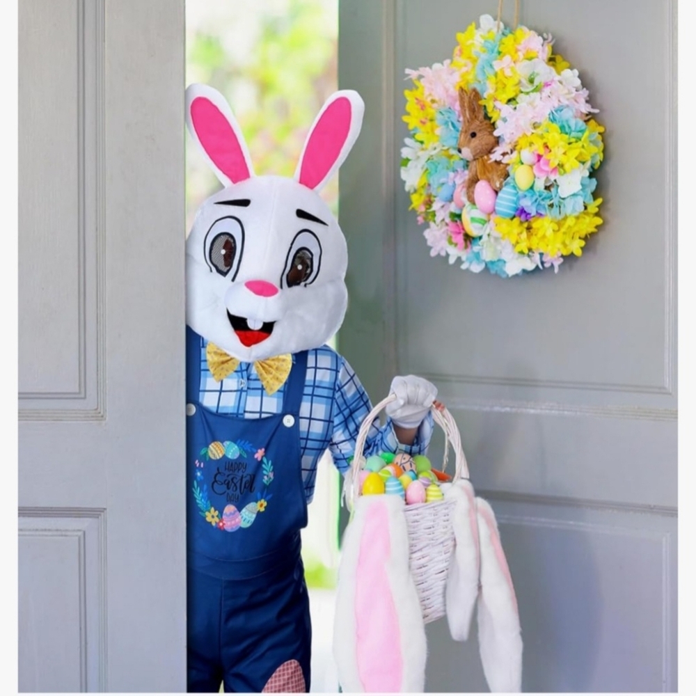 Peter Rabbit Costume - Picture 5 of 7